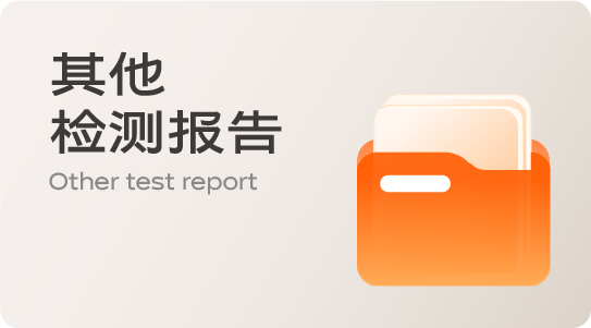 其他检测报告